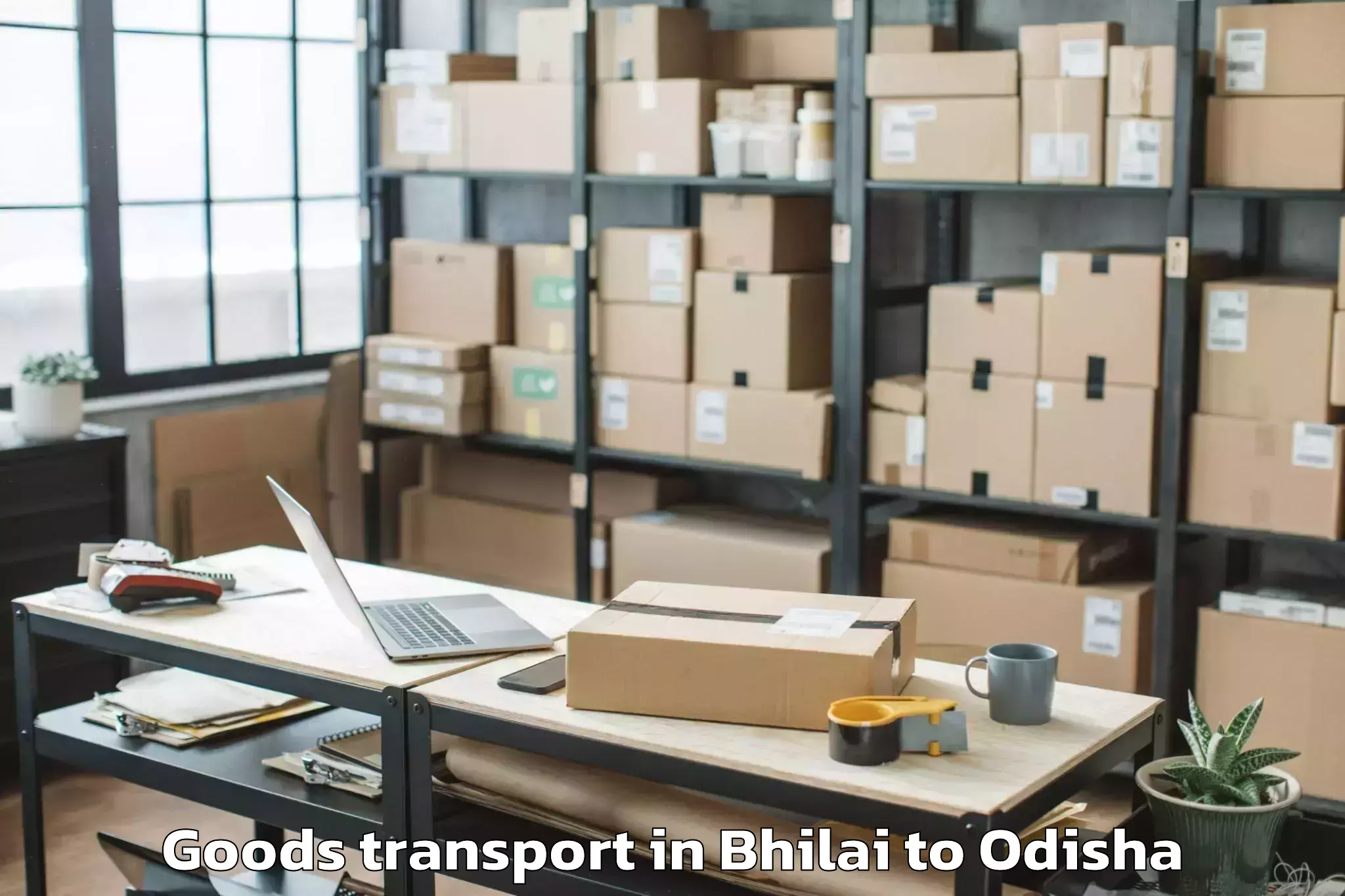 Hassle-Free Bhilai to Sambalpur Goods Transport